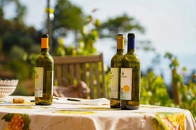 Trekking in the Vineyard in Vernazza with Tastings