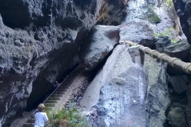 Cuevas Negras, Selvas, Cascadas: ¡visite el Tenerife secreto!