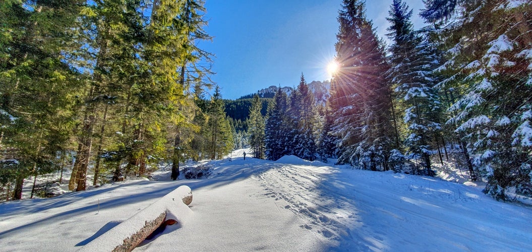 Hike from Unterammergau via the Schattenwald to the Kolbensattel cabin, Germany Unterammergau