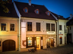 Hotel Kocour