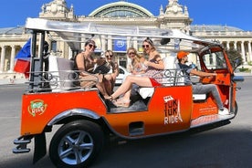 2H Private Electric Tuktuk Tour in Paris