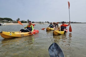 Puolen päivän yksityinen opastettu Kayak Island Tour