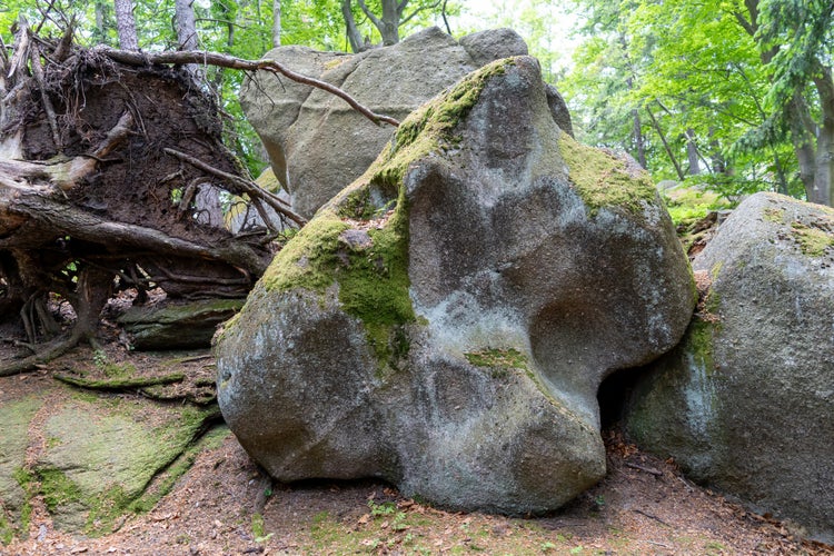 photo of view of Immerse yourself in the serene beauty of a majestic rock perched amidst a lush green forest in Piechowice, Poland.