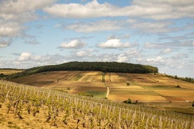 Tour privato del vino di un'intera giornata nella Côte de Beaune