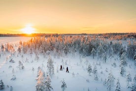 Kemi-Tornio: Nature tour with snowshoes