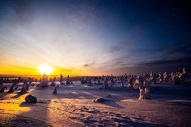 Riisitunturi óbyggðaævintýri