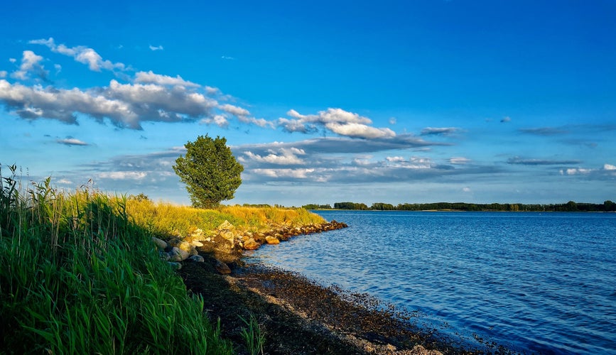 photo of view of Beautiful landscape on the beach with a tree standing spot on by sun, with water and blue sky at vordingborg Denmark.