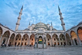 Privétour: Istanbul in eendaagse Sightseeingtour met inbegrip van de Blauwe Moskee, de Hagia Sophia en het Topkapi-paleis