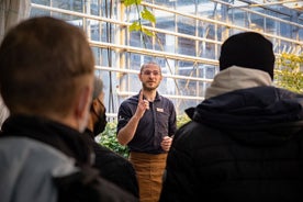 Viagem de um dia ao Círculo Dourado com visita à Fridheimar Greenhouse saindo de Reykjavik