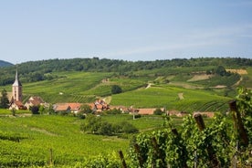 Giro in bicicletta sulla Strada del Vino da Sélestat