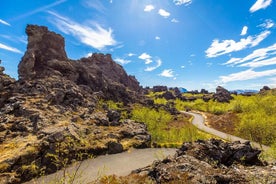 Tour classico del lago Myvatn di un'intera giornata