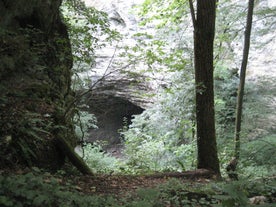 Pazinska jama - Speleo adventure