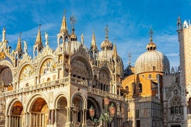 Venice Shore Excursion and Canal Cruise from Ravenna