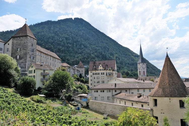 Beautiful view at town Chur , vineyards and Alps mountains, Switzerland