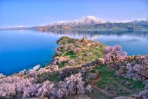 Medium car rental in Van, Turkey