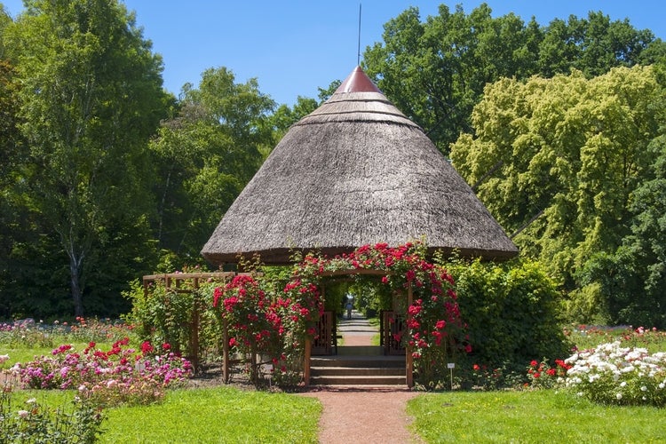 photo of view of Botanical Garden, Szeged, Hungary.