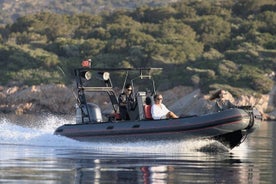 Fiskeupplevelse med Gaia Boat