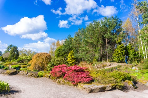 Royal Botanic Garden park center of Edinburgh city, Scotland.