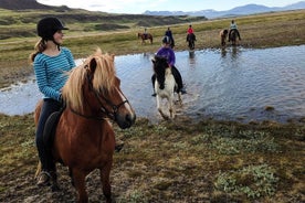 Passeio a cavalo ao delta do rio Glacier com cachoeira