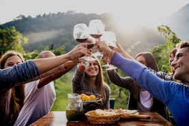 Tour Privado em Éfeso e Degustação de Vinhos na Vinícola