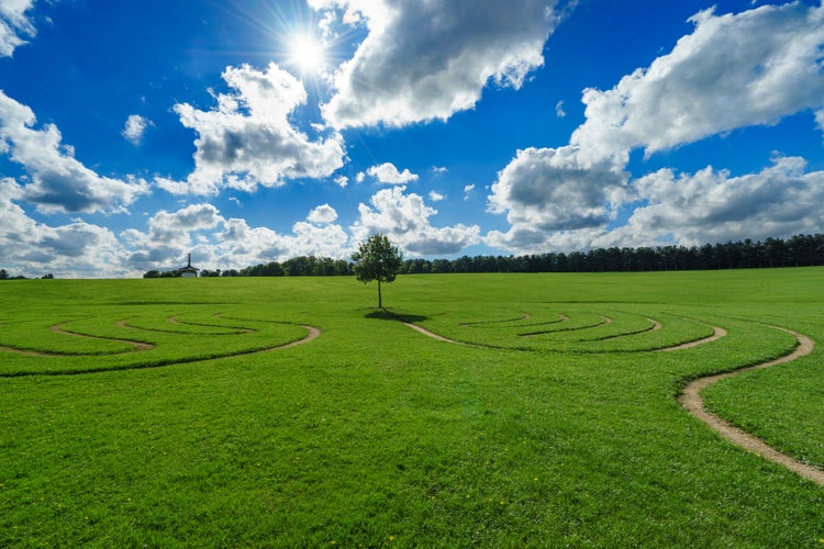 Photo of Maze at Willen Lake Park in Milton Keynes,England.