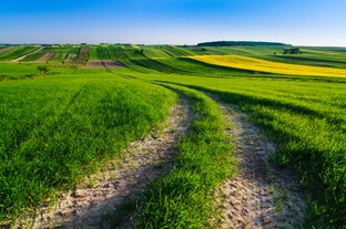 Photo of panoramic aerial view of Kazimierz Dolny, Poland.