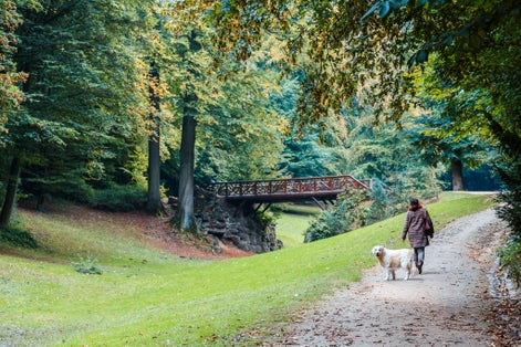 Photo of a girl walking her dog in Park Bois de La Cambre, Sonian forest, Brussels, Belgium.