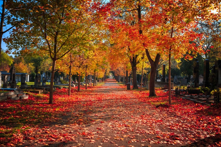 Vienna Central Cemetery.jpeg