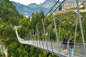 Private Tour of Neuschwanstein Castle & Highline 179 from Munich