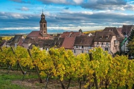 Alsace Rocks! Besøg 3 fantastiske vingårde.