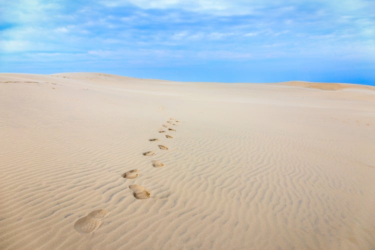 photo of Råbjerg mile, great sand dune in Frederikshavn in the north of Denmark.