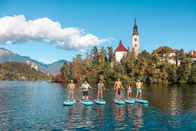 Les en tocht stand-up paddling op het Bled-meer