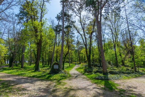 photo of view of View of Skobelev park in Pleven.,Pleven Bulgaria.