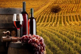 Bella Toscana Private Tour: 2 Chianti Wineries and San Gimignano From Livorno