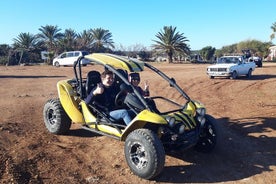 Safari de buggy de meio dia até a Península de Akamas com almoço