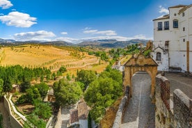 Expérience d'une journée complète de visite privée des vins de Ronda au départ de Marbella