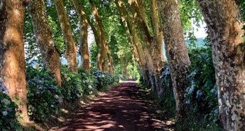 Azores Dream Hiking Holiday