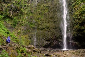 Madeira Levada Walk - Caldeirao Verde