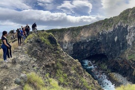 Terceira-eiland Halve dag pure lucht-wandelpaden