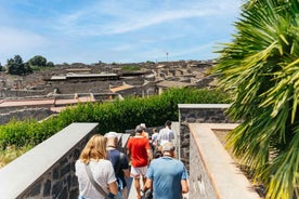 Frá Napólí: Pompeii Rústir & Vesúvíusfjall Dagferð