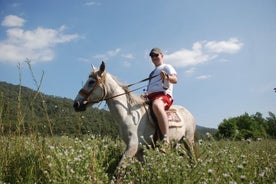 Hesterygningstur i Bodrum med hotelafhentning