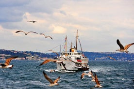 Après-midi visite du Bosphore en bateau et en bus avec téléphérique de Pierre Loti Coffee