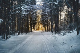 LANGRENN: Vintertur til Böhmen-fjellene