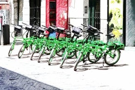 Fahrrad- oder E-Bike-Tour durch die Parks von Madrid: Riverside und Casa de Campo