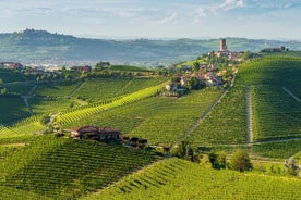 Ganztägige private Weintour durch das Piemont ab Turin