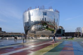 私人亮点和建筑徒步之旅：Markthal、Timmerhuis 和 Depot