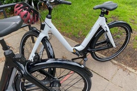 Halbtägige private E-Bike-Tour durch Weinberge in Oxfordshire