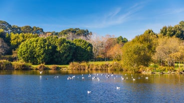 Parque da Cidade do Porto