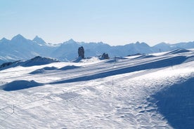 Riviera Col du Pillon & Glacier 3000: Esperienza di alto livello