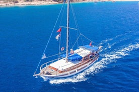 Private 6-Hour Boat Tour with Lunch in Bodrum Bays